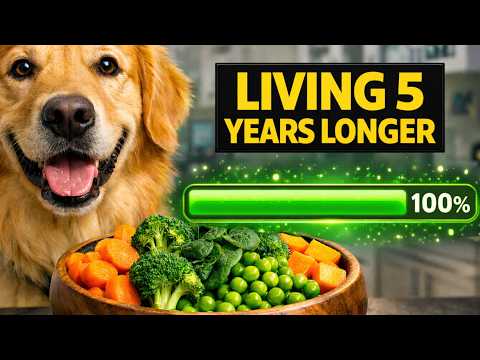 How to Add 5 Years to Your Dog’s Life with Real Food||Vet Approved