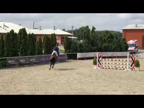 Claud (Falaise de Muse x Action Breaker) 2022/08/13 ZR Olsza- 100 cm I SPRZEDANY / SOLD