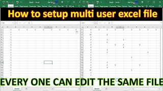 Allow Excel spreadsheet to be updated by multiple users at one time