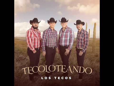 Los Tecos - La guayabita