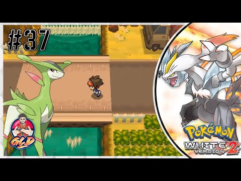 Pokemon White 2 Walkthrough (2023) Part 37: Route 11 & Virizion!