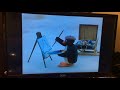 Pingu Pingu The Panther