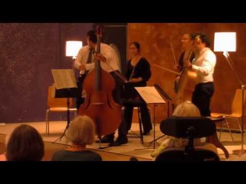 D. Dragonetti - The Famous Solo - LIVE - Amira-Quartet & Felix Maiwald, Double Bass