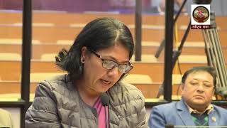 Establish a National Road Safety Council to ensure road safety in Nepal_Bimala Rai Paudyal