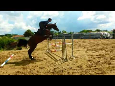 Zoom Saubretière Z, 17 06 2016