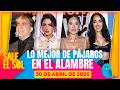 ¡Novia de Cristian Castro, Victoria Kühne ASEGURA que su amor es REAL! I Lo Mejor de Pájaros 30/4/26
