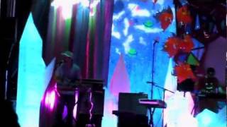 Animal Collective - Taste - Pitchfork 2011