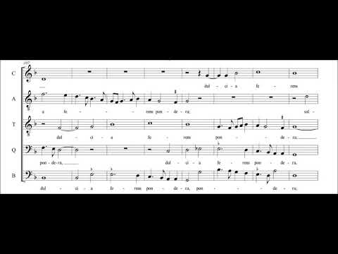 Adrian Willaert - O crux splendidior