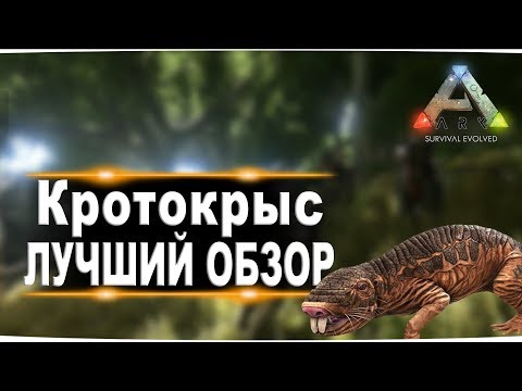 Кротокрыс (Roll Rat) в АРК. Лучший обзор: приручение, разведение и способности в ark