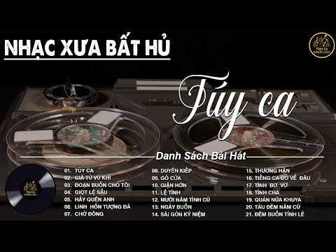 TÚY CA - DIỄN QUÂN ➤ LK Nhạc BOLERO Trữ Tình MỚI NHẤT ✅Nhạc Vàng Hải Ngoại Xưa Bất Hủ Vượt Thời Gian