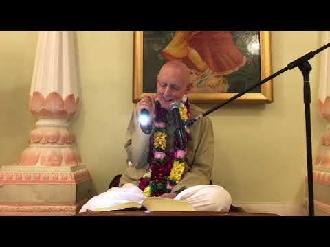 Morning Class SB 6.17.34-35 - HG Sankarshan Das Adhikari - 8 November 2022