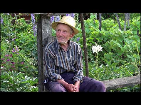 Nețeni, ultimele suflări