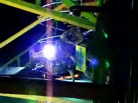 Selva Encantada - Splash refrescante