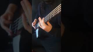 Kings Of Leon - Pony Up (Bass Guitar Cover)