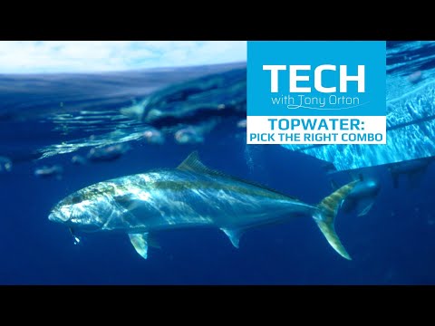 Shimano Tech with Tony Orton: #33 - Topwater: How to pick the right combo!