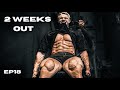 SKIN TEARING LEG WORKOUT 14 DAYS OUT || My Response To Greg Doucette