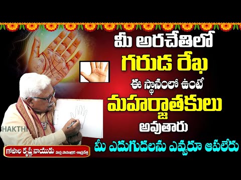 మీ అరచేతిలో గరుడ రేఖ ఇక్కడ ఉంటె మహార్జాతకులు అవుతారు || Garuda Rekha Symbol in Palmistry || Hit Tv