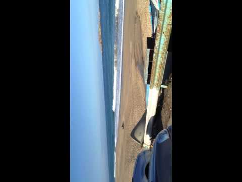 reghaia beach 14-02-2014