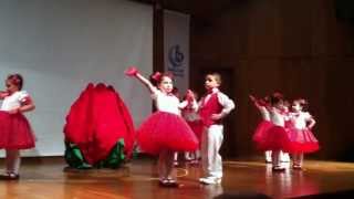 Yıl sonu Gösterisi 2012 &#39;&#39; Türkiyem&#39;&#39;