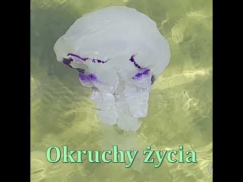Okruchy życia w PRL – u. Odcinek 4: Jak posądzono mnie o członkostwo we włoskiej mafii.