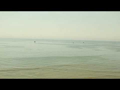 Along the beach...beautiful amtrak trip