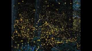 Download lagu tuhan kirim kamu (danke).wmv mp3 Download lagu tuhan kirim kamu (danke).wmv mp3