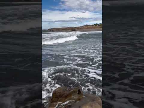 Playa Carrizal | Puntarenas 🌊 COSTA RICA #rutadehoy #aventura #naturaleza #shorts