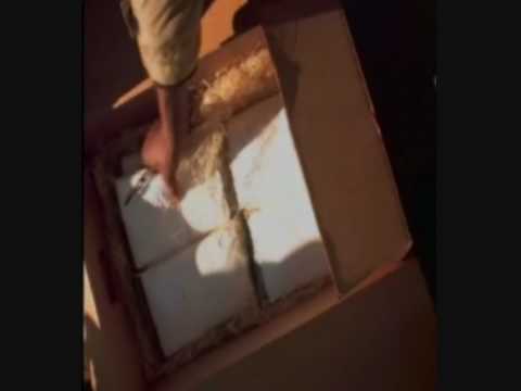 D' LORD ft Jaja Soze - RUNNING