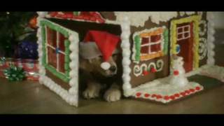 Santa Buddies (2009) Video