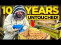 This Beehive Hasn T Been Opened In 10 Years Until NOW
