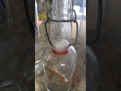 MAKING CINNAMON EXTRACT FROM SCRATCH | Food Preservation Techniques | #recipe #shorts #homestead