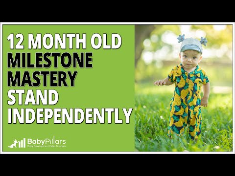 12-Month-Old Milestone Mastery Stand Alone Without Assistance For A Moment