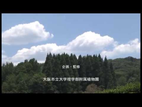 大阪市立大学理学部附属植物園「森の植物園」エンディング