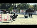 Bourbon GP 1 35 JUMP OFF MET Oliva Nov 2015