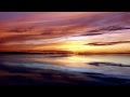 DNA feat. Suzanne Vega - Tom's Diner (FL ...