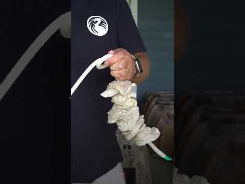 How discarded oyster shells get a second life