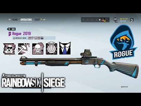 Rogue ESPORTS Weapon Skin - Rainbow Six Siege