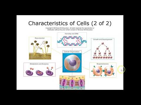 BIO 235 Chapter 4 Talaro Autieri 2021