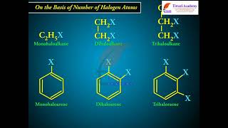Class 12 Chemistry Classification of Haloalkanes and Haloarenes in Chapter 10 Haloalkanes Haloarenes