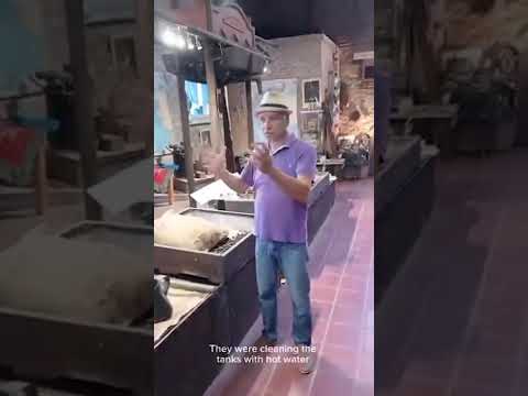 Video 3