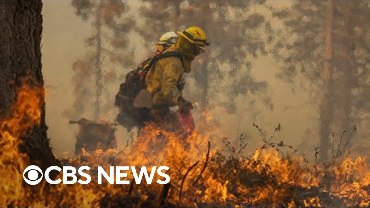 Oak Fire becomes California's largest wildfire this year