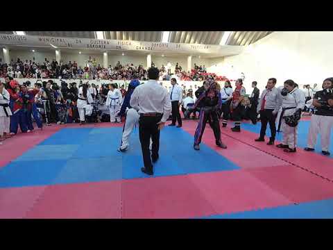 COPA BONSAI 2019(19)