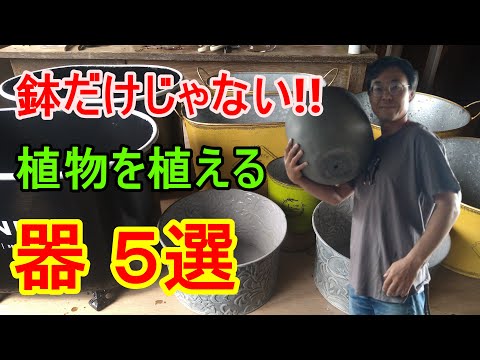 ザウザーン: オーガニックガーデナーにとって重要なツール 庭の練習