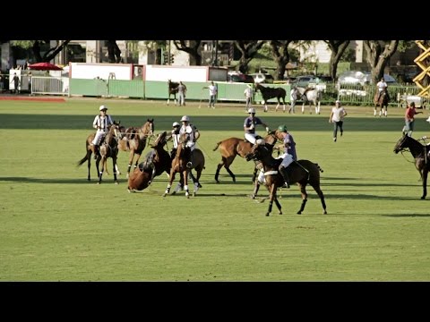 La muerte de la yegua de Juan Martín Nero en el Abierto de Polo 2014