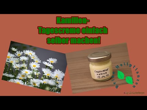 Tagescreme ganz einfach selber machen|Pflegende Creme|mit Kamille & Bio Pflanzenöl