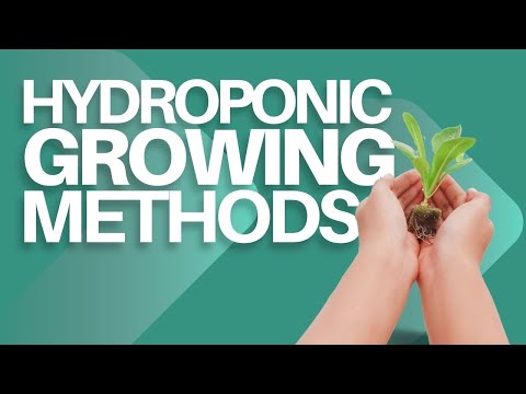 Hydroponic Growing Methods - Chapter 7