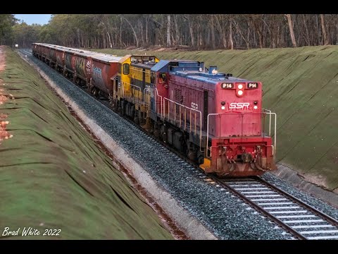 Bonnet first P14 leads SSR's 9098 Deniliquin grain- 13/1/22