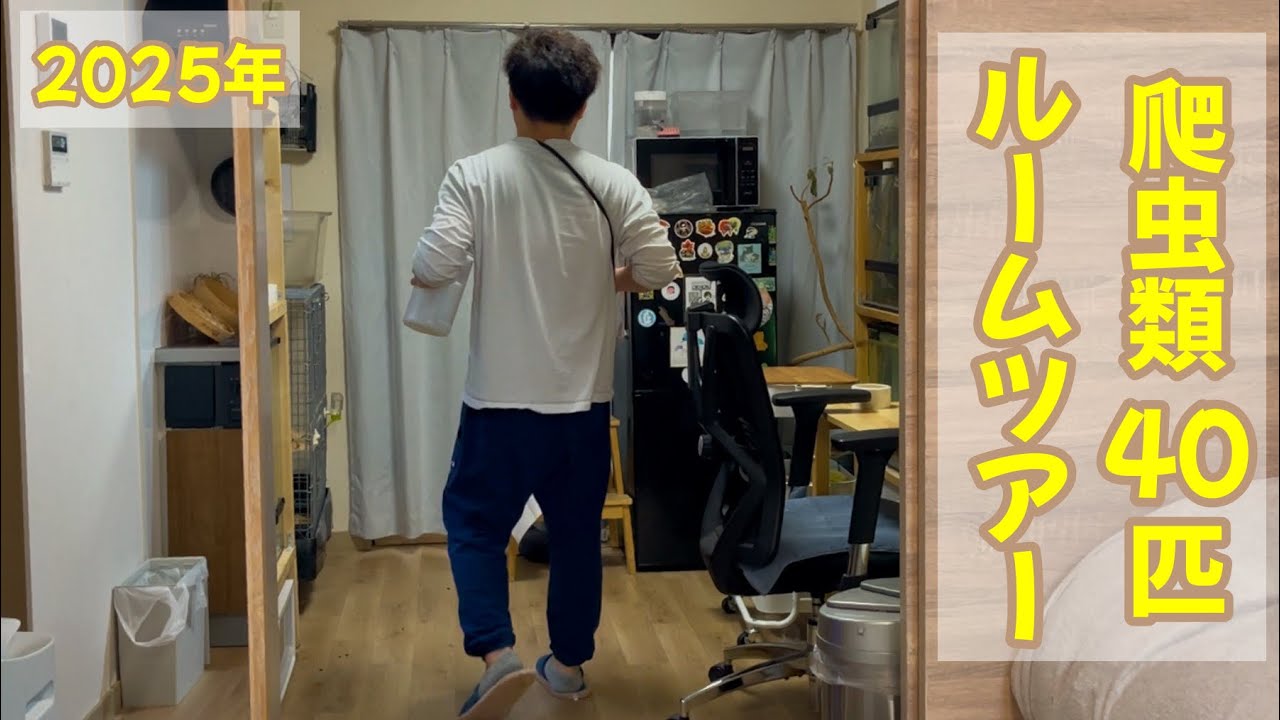 爬虫類40匹を飼育する男ののんびりルーティン【SwitchBot 温湿度計Pro】