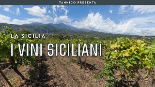 Uno sguardo al vino siciliano | Tannico Flying School