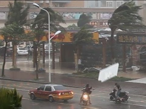 LogiLink Typhoon Belaidis laidų vedėjas su lazerine žymekliu video